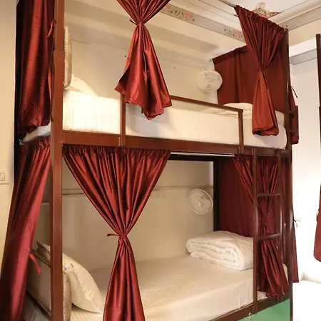 Hostel Funky Bunky-3
